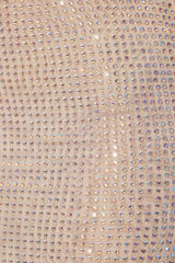 Embellished Mid Rise Maxi Skirt in Champagne