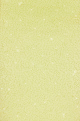 Embellished Side Split Maxi Skirt in Lime Green